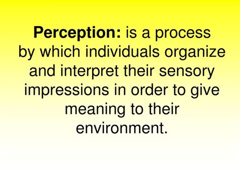 Perception Explained 的图像结果
