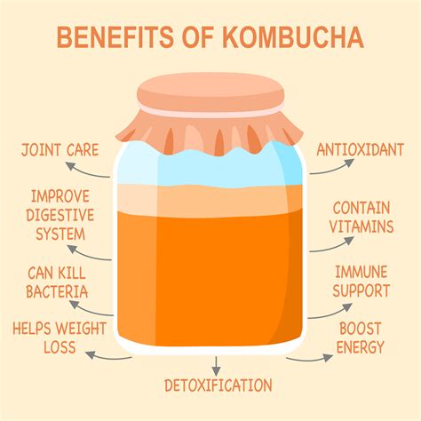 What Are The Health Benefits Of Kombucha? - Ethical Inc
