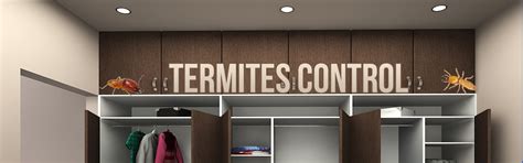 Sun Pest Control Services - General Pest Control, Termite Control, Bed ...