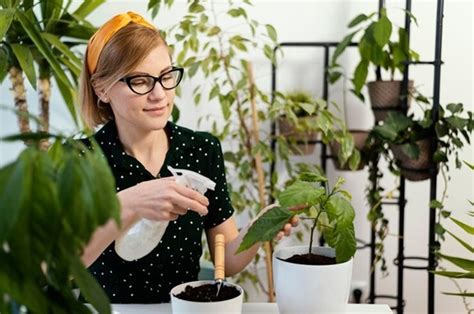 Image result for Knapsack Problem Explained