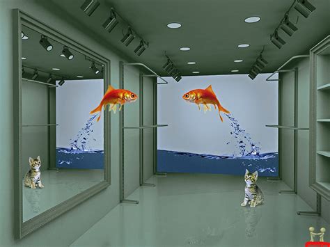 Moving Fish Desktop 的图像结果