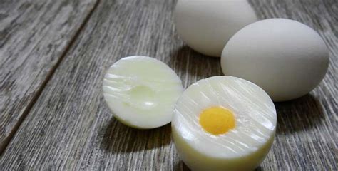 The Most Stupid Myths Around An Egg And Why Its A Top Quality Protein ...