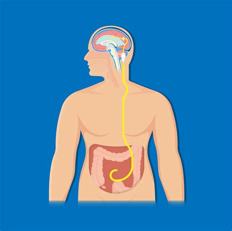 รายการ 93+ ภาพพื้นหลัง การ ดูแล Vp Shunt คมชัด