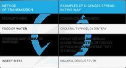Pathogens and Barriers - Biology for GCSE/IGCSE - Year 11 PDF Download