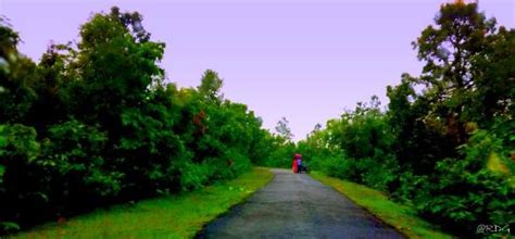 Ajodhya Hill and Forest Reserve Area (Purulia) - 2021 What to Know ...