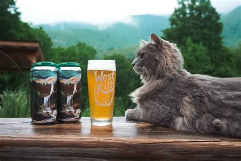 The 14 Best Beers We Drank in 2025 • Hop Culture