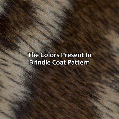 What Color Is Brindle - colorscombo.com