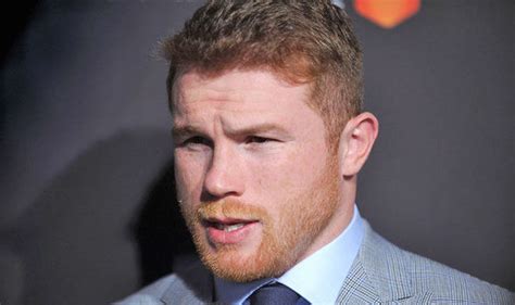Canelo: How did the Paul brothers get their boxing licenses? – RingSide24