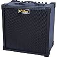 PALCO Cube 40M 40 Watt Combo Amplifier (Black) : Amazon.in: Musical ...