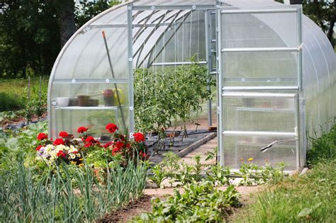 Greenhouse Gardening For Beginners: The Ultimate Guide – AllThatGrows