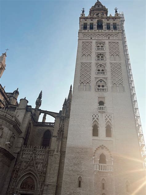 International Studies Abroad (ISA) posted on LinkedIn