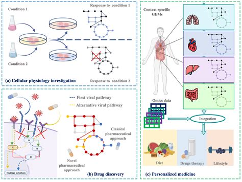 hiPSCGEM01: A Genome-Scale Metabolic Model for Fibroblast-Derived Human ...