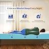 sleepyhug Ortho SpineX Orthopedic Mattress, UltraSupport 3 inch Foam ...