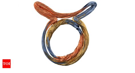 Taurus, Horoscope Today, January 19, 2024: A stellar day of enduring ...