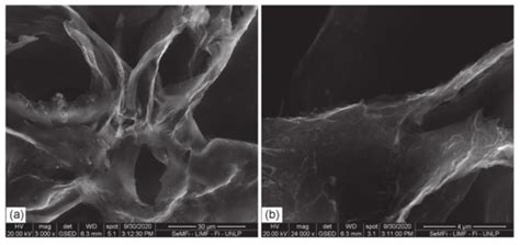 Graphite Dendrites in Cast Iron and Their Fundamental Role in the ...