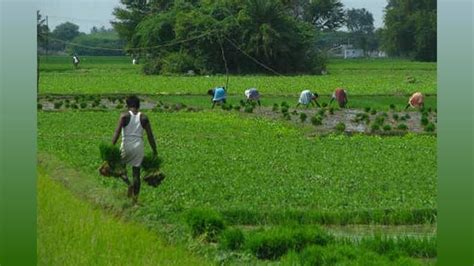 Union Budget 2024: Agri Sector Reactions - Forward Looking or Empty ...
