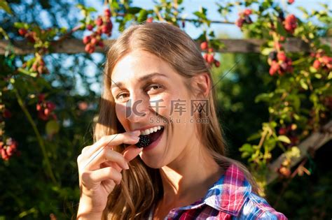 快乐的女人在花园里收割浆果;她在啃树莓美女女孩高清摄影大图-千库网