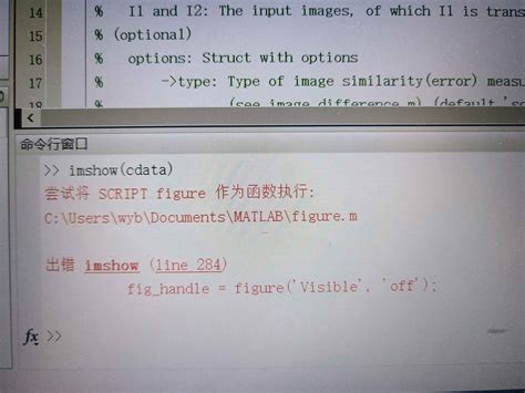 Imshow MATLAB 的图像结果