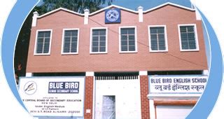 Blue Bird Senior Secondary School