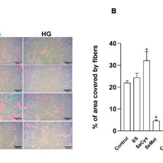 Image result for Selenium Bond Line Structure