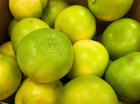 BAOR. Juices and concentrates | White grapefruit Juice concentrate ...