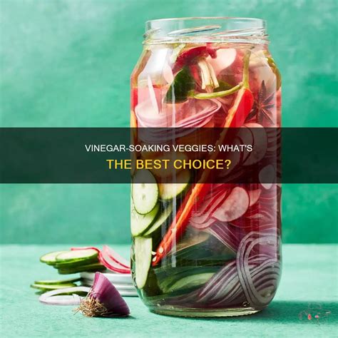 Vinegar-Soaking Veggies: What's The Best Choice? | ShunVogue