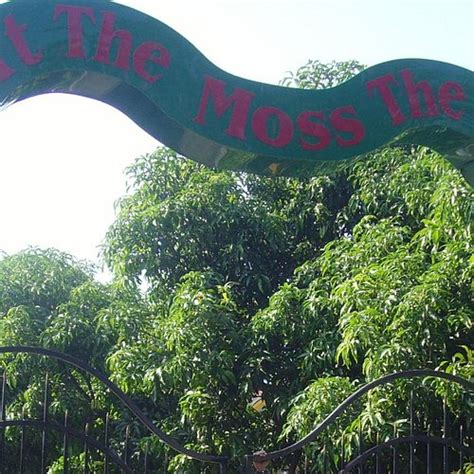 The Best Hotel Deals in Vajreshwari (Jun 2025) - Tripadvisor