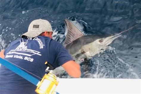 Tu Corazon Sport Fishing (Los Barriles) - All You Need to Know BEFORE ...