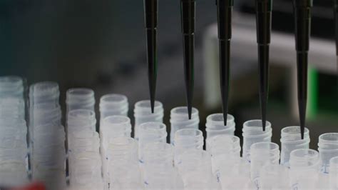 Science Daily 的图像结果