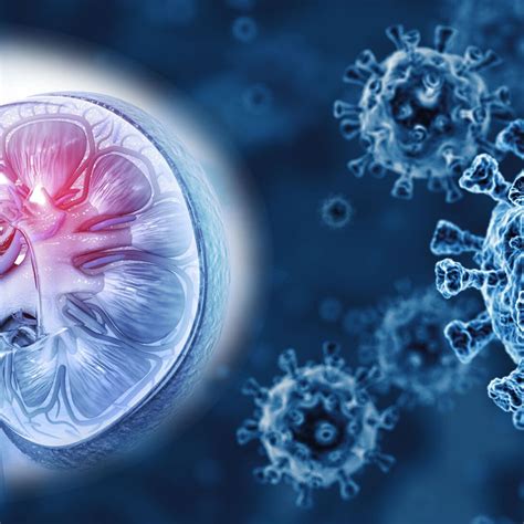 Covid-19 und die Niere - Nephrologie - Universimed - Knowledge that matters