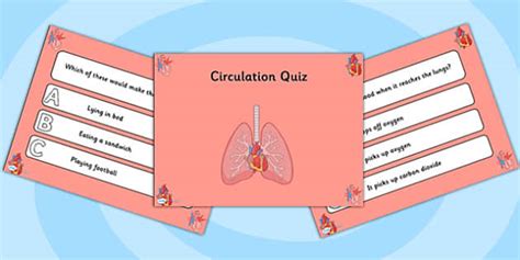 Science Circulation PowerPoint Quiz (teacher made) - Twinkl