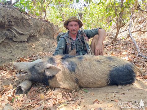 Pig Hunt Northern Territory Australia | AfricaHunting.com