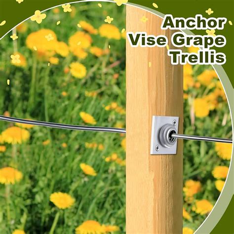 Chumia 5 Pieces Anchor Wire Vise Anchor Vise with Screws India | Ubuy