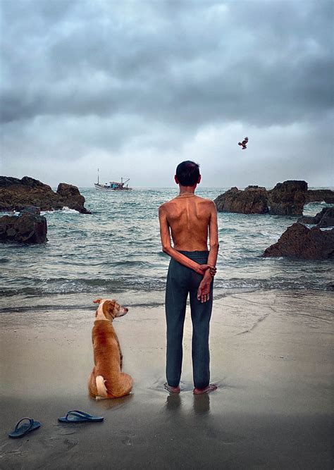 Rohit Chawla’s 'Rain Dogs' Captures Goa's Strays with Striking Images