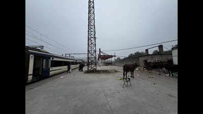 Multiple ‘platform 1s’ at Gaya station confuse passengers | Patna News ...