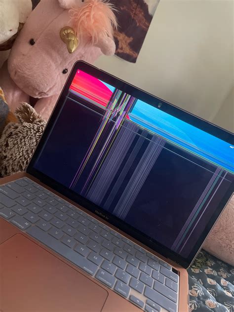 Mac air screen glitching : r/applehelp