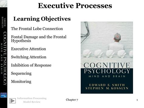 Image result for Executive Control Processes