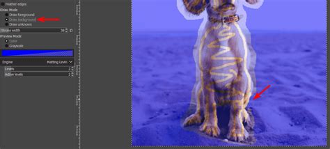 Image result for GIMP Tutorial On Removing Any Background