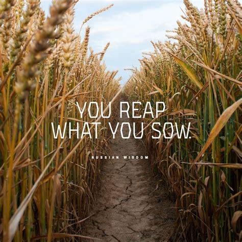 Reaping what you sow – Artofit