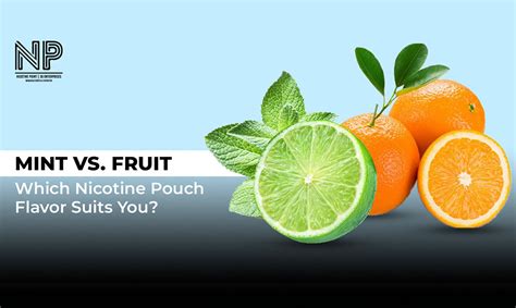 Mint vs Fruit: Which Nicotine Pouch Flavor Suits You? | Nicotine Point