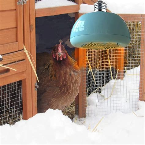 Amazon Chicken Coop Heater at Latoya Zell blog