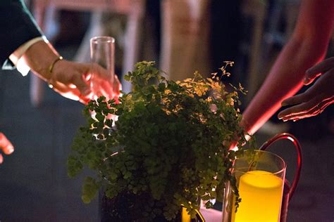 Image result for Unity Tree-Planting Wedding Ceremony