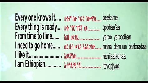 Oromo Language Lesson 的图像结果