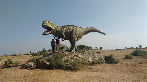 Balasinor Tourism: All You Need to Know Before You Go (2026)