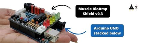 Muscle BioAmp Shield v0.3 for Arduino Uno | Muscle Sensor (EMG ...