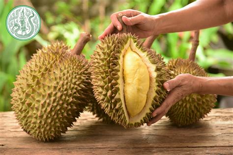 Durian