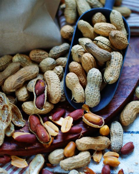 Easy Roasted Peanuts in the Shell - Southern Discourse
