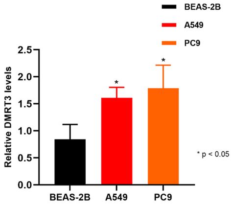 Comprehensive Analysis of DMRT3 as a Potential Biomarker Associated ...