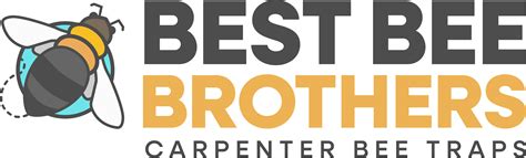 How to Make Carpenter Bee Traps [DIY Wood Bee Trap] | Best Bee Brother