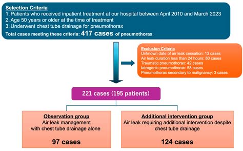Temporal Patterns of Air Leak Resolution in Secondary Spontaneous ...